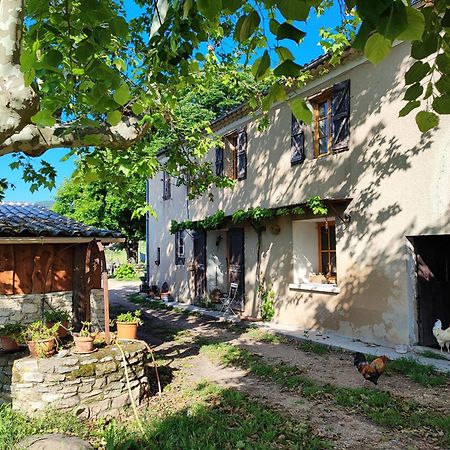 Gite Provence Luberon Paca Revest-des-Brousses Exterior foto