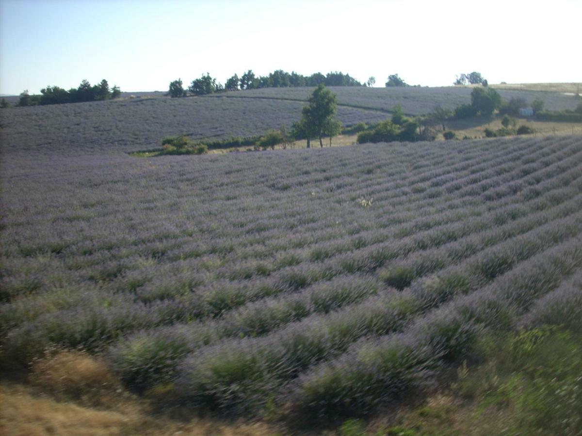 Gite Provence Luberon Paca Revest-des-Brousses Exterior foto