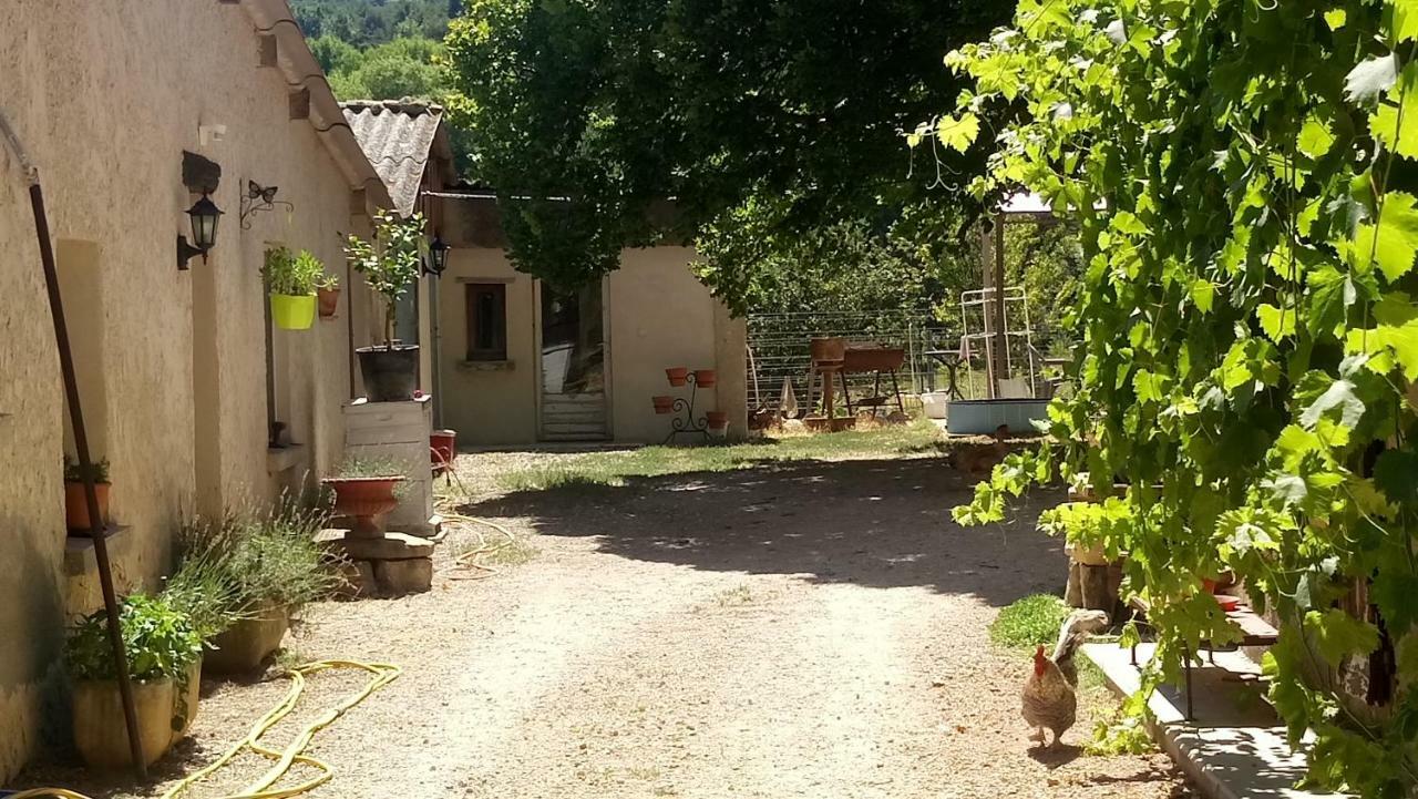 Gite Provence Luberon Paca Revest-des-Brousses Exterior foto