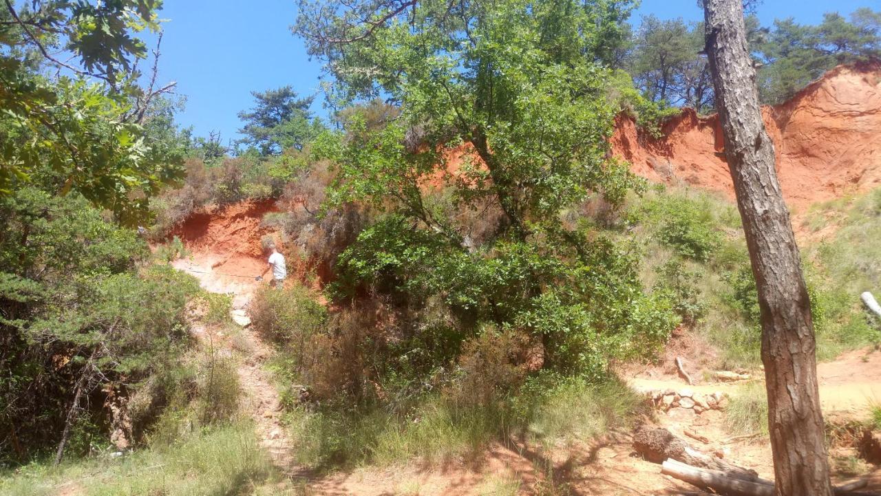 Gite Provence Luberon Paca Revest-des-Brousses Exterior foto